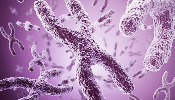 The telomere revolution