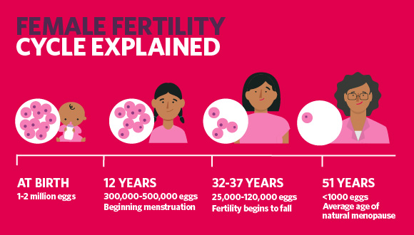 Infographic explaining female fertility at birth, 12 years, 32 to 27 years and 51 years