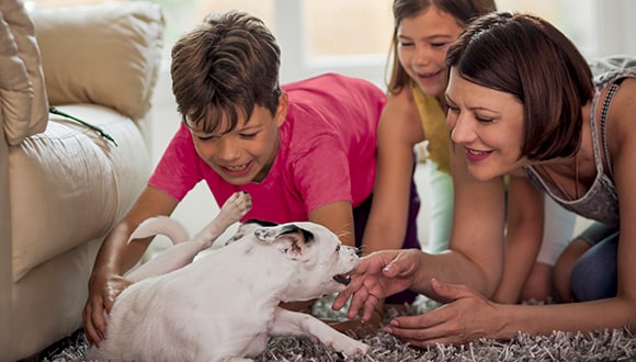 Mother, daughter and son playing with their new puppy