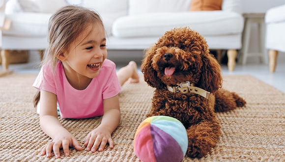 Benefits of pet insurance and how it works