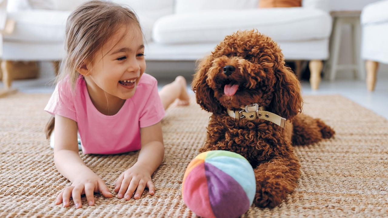 A child and a dog lying next to each other on a rug with a soft ball.
