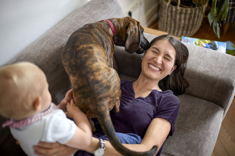 a dog plays with a family in their living room