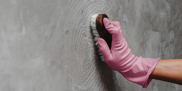 Woman cleaning mould off the wall with a scrub brush